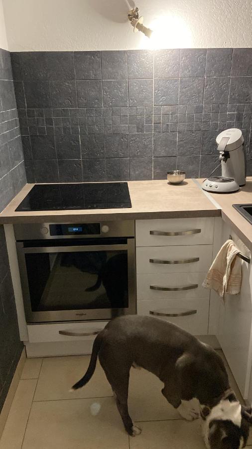 Appartement Cap D Agde Magnifique Vue Mer Eksteriør billede